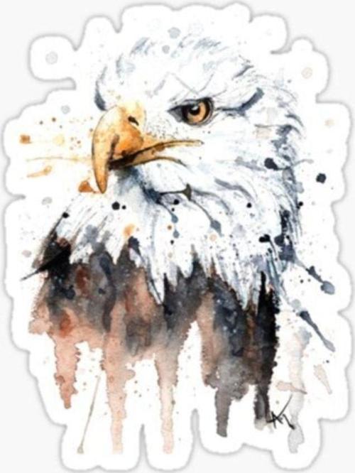 Araba Için Kartal Oto Sticker Yapıştırması Etiket 17cm S1