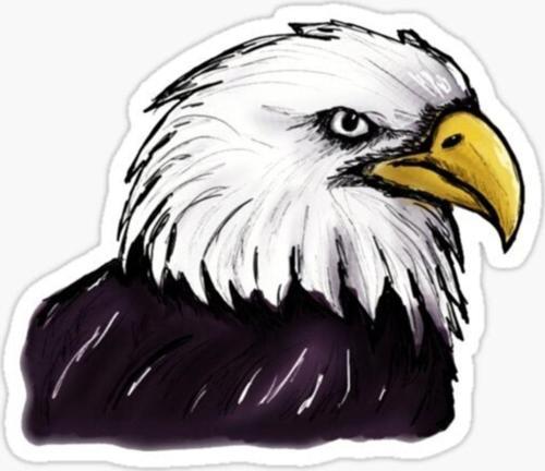 Araba Için Kartal Oto Sticker Yapıştırması Etiket 17cm S3