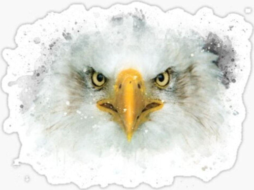 Araba Için Kartal Oto Sticker Yapıştırması Etiket 17cm W1
