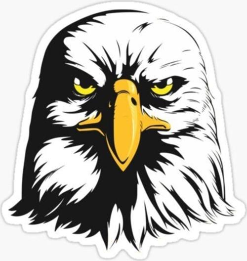 Araba Için Kartal Oto Sticker Yapıştırması Etiket 17cm W6