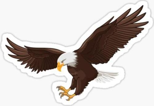 Araba Için Kartal Oto Sticker Yapıştırması Etiket 17cm Z4