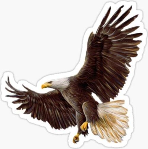 Araba Için Kartal Oto Sticker Yapıştırması Etiket 17cm Z6