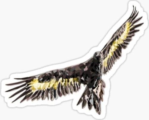 Araba Için Kartal Oto Sticker Yapıştırması Etiket 17cm Zz2