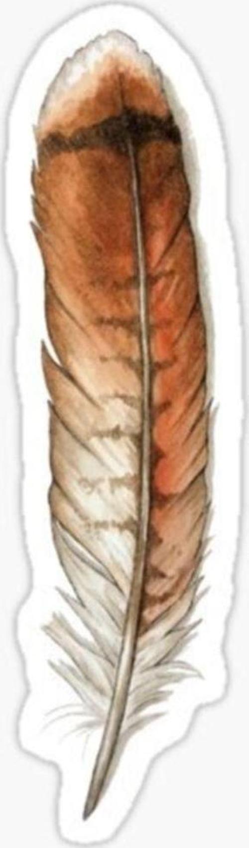 Araba Için Kartal Tüy Oto Sticker Yapıştırması Etiket 17cm