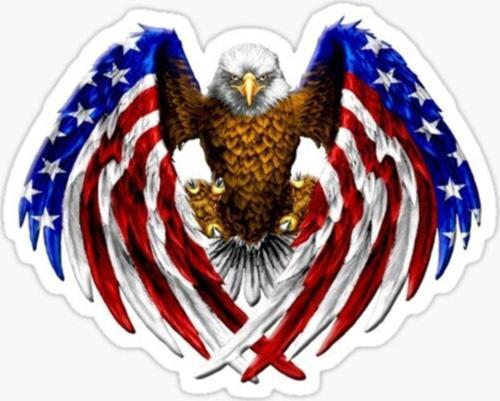 Araba Kartal Sticker Yapıştırması Etiket Amerikan Bayrağı 17cm A5