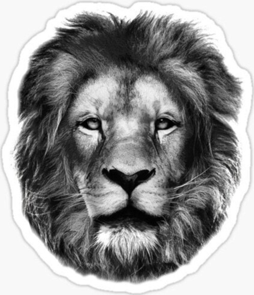 Araba Için Aslan Oto Sticker Yapıştırması Etiket 17cm Z1