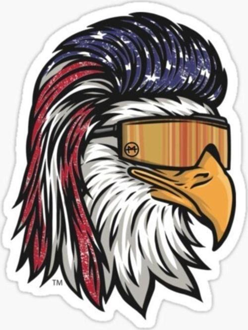 Araba Için Havalı Kartal Sticker Yapıştırması Etiket Oto 17cm Z1