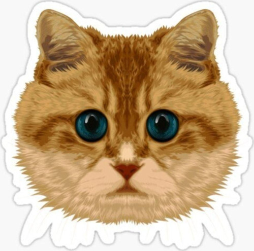 Araba Leptop Için Kedi Tekir Sticker Yapıştırması Etiket 17cm A3