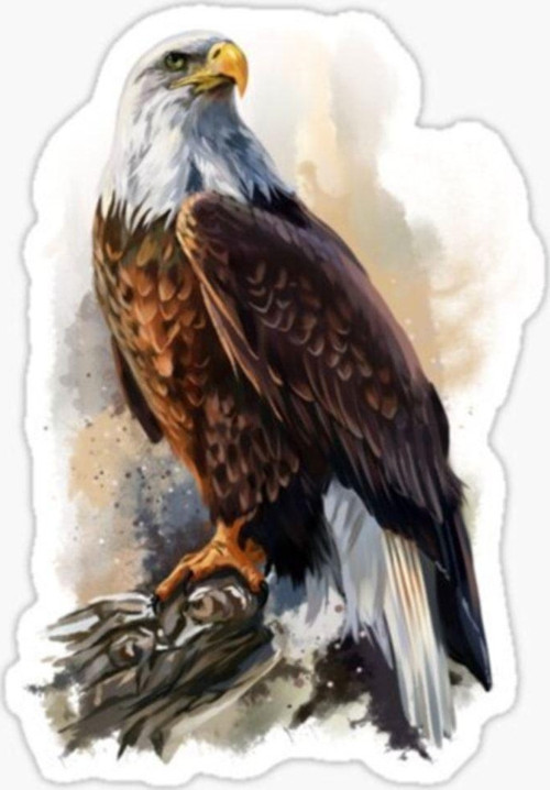 Araba Için Kartal Oto Sticker Yapıştırması Etiket 17cm A4