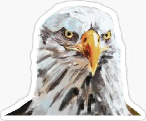 Araba Için Kartal Oto Sticker Yapıştırması Etiket 17cm Aa3