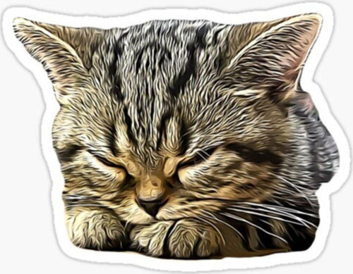 Araba Leptop Için Kedi Tekir Sticker Yapıştırması Etiket 17cm A5