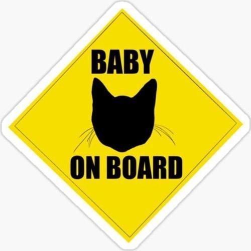 Arabada Kedi var Cats On Board Sticker Yapıştırma 19CM md4