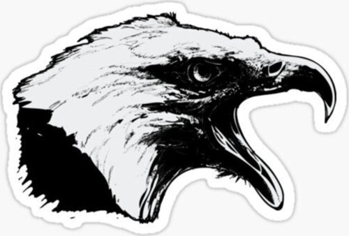 Araba Için Kartal Oto Sticker Yapıştırması Etiket 17cm D5