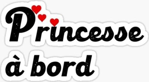 Arabada Prenses var Sticker Etiket Yapıştırma 19CM