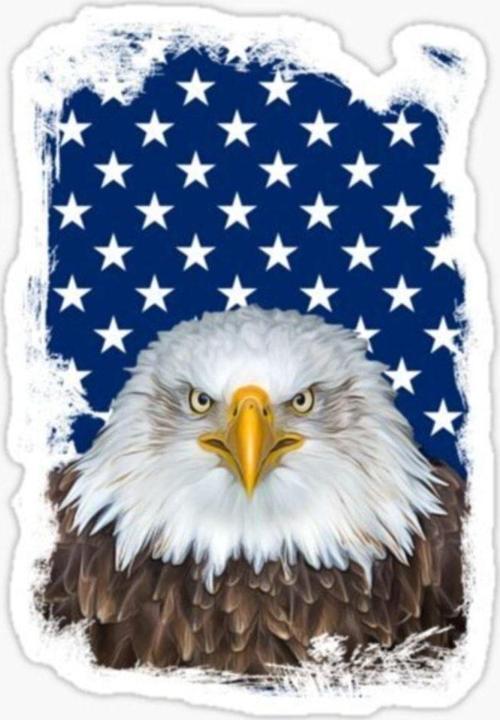 Araba Için Kartal Oto Sticker Yapıştırması Etiket 17cm D8