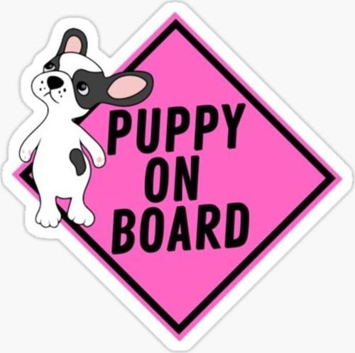 Arabada Puppy Köpek Var Araç Sticker Etiket 19CM md11