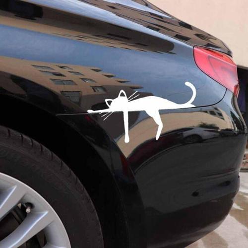 Araba Tamponunda Uyuyan Kedi Komik Beyaz Renk Sticker