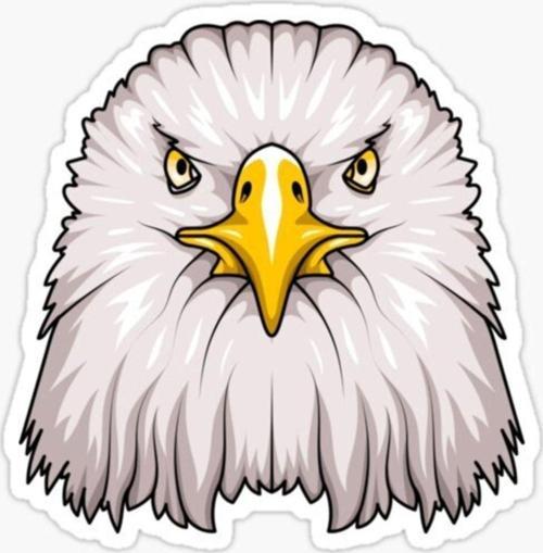 Araba Için Kartal Oto Sticker Yapıştırması Etiket 17cm Q6