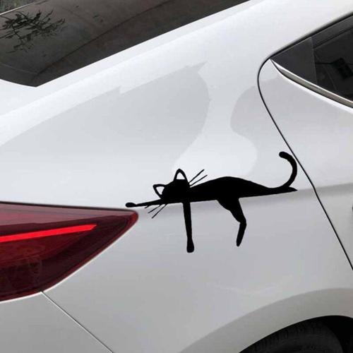 Araba Tamponunda Uyuyan Kedi Komik Siyah Renk Sticker