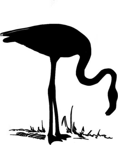 Arasında Balık Arayan Flamingo Kuşu Sticker 15 cm