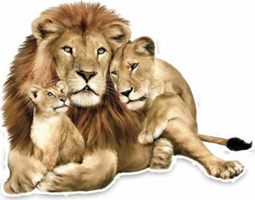 Aslan Ailesi Araba Sticker Yapıştrması 18cm