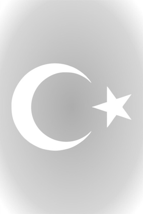 Beyaz 20 Cm Ay Yıldız Sticker Türk Bayrağı Sticker