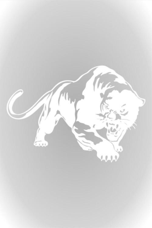 Beyaz 25cm Panter Panther Kaplan Puma Oto Araba Sticker