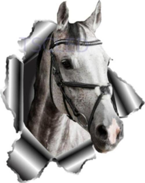 Beyaz At Sevimli Araba Çıkartması Sticker