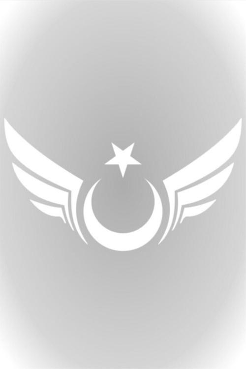 Beyaz Kanatlı Ay Yıldız Sticker Oto Araba Sticker