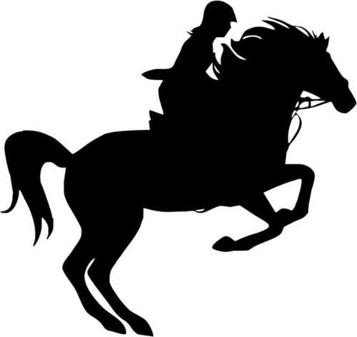 Binicilik At Araba Sticker Çıkartmaları 2