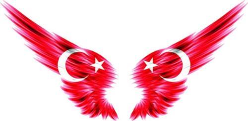 Ay Yıldız Araba Aynası Sticker Yapıştırması