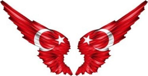 Ay Yıldız Bayrak Sticker Kanata Şeklinde Araba Aynası Için 13cm