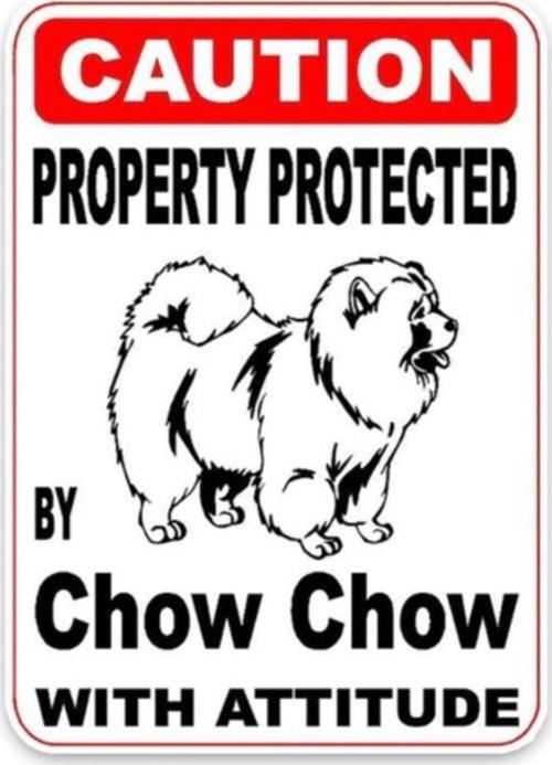 Chow Köpek Uyarı Araba Sticker Etiket Yapıştırma 18cm