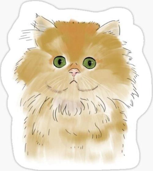 Cins Kedi Iran Kedisi Araba Oto Sticker Etiket Renkli V7