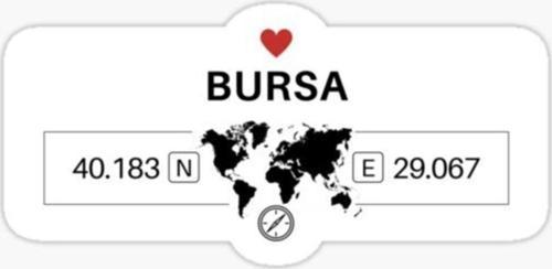 Bursa 2 Gps Harita Sticker Oto Araba Yapıştırma 17cm