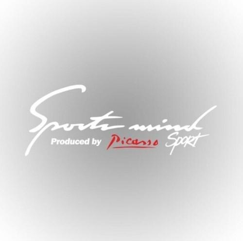 Citroen Picasso Sports Mind Oto Sticker Araba Yapıştırma