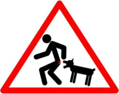 Dikkat Köpek Istırabilir Sticker Etiket Su Geçirmez 22cm