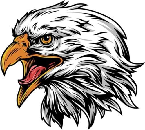 Eagle Kartal Oto, Motorsiklet, Araç, Laptop Sticker 19CM