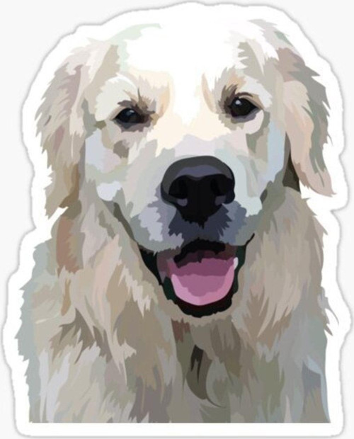 Golden Retriever Köpek Sticker Araba Oto Yapıştırması 17cm A2