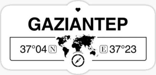 İzmir Gps Harita Sticker Oto Araba Yapıştırma 17CM yazı 236