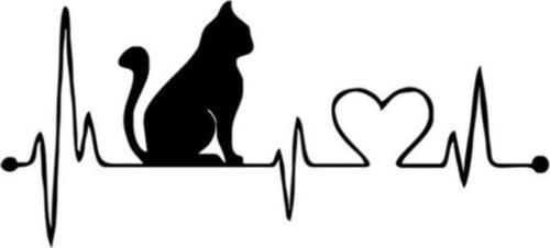 Kalp Kedi Araba Sticker Yapıştırma