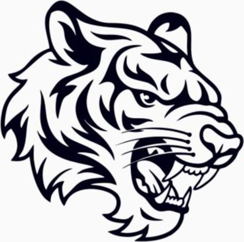 Kaplan Araba Stickerı Vinil Sticker