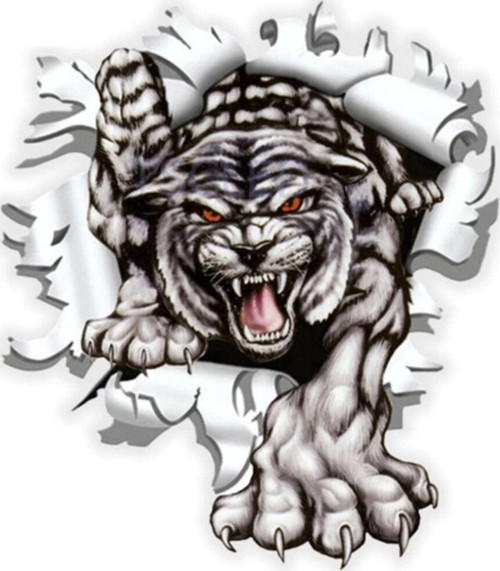 Kaplan Oto Araba Sticker Yapıştırması