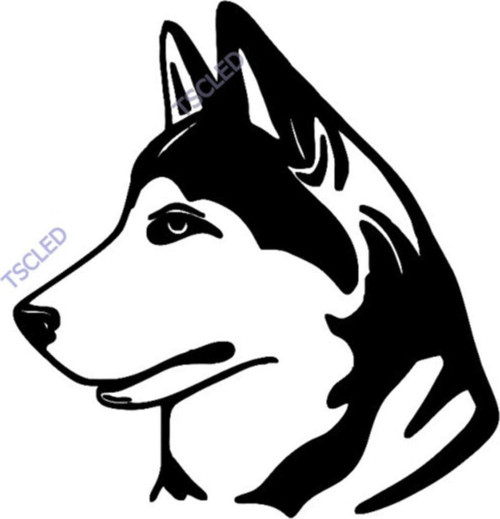 Kurt Sticker Yapıştırma