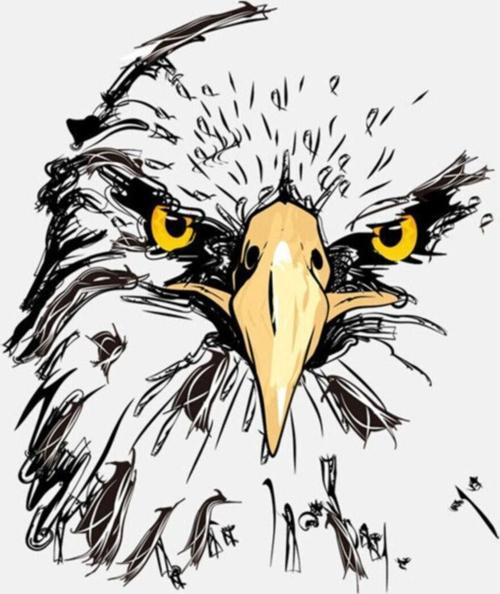 Kartal Göz Keskin Gözlem Araba Sticker 17cm