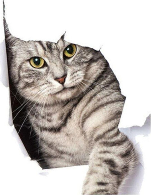 Kırık Cam Efekti Kedi Araba Oto Sticker Etiket Z2