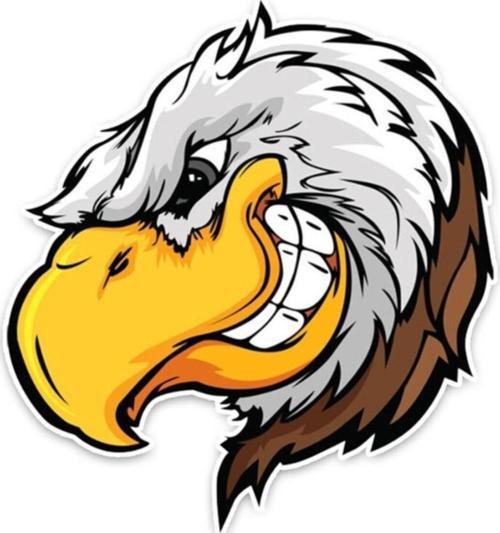 Kartal Kafası Oto Araba Sticker Etiket 17 Cm