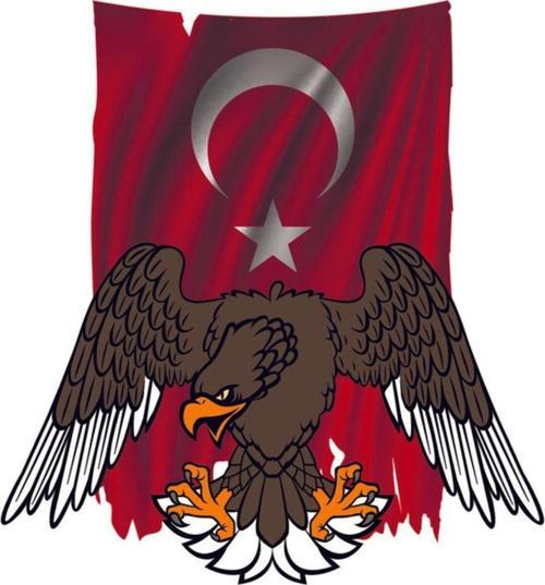 Kartal Türk Bayrağı Sticker Yapıştırma 18cm