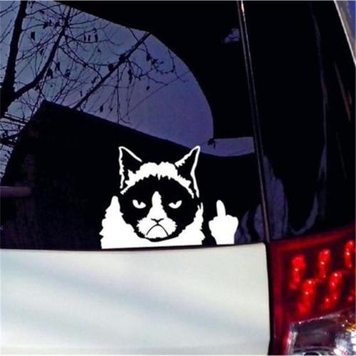 Kedi Komik Şaka Sticker Etiket Yapıştırma 19cm