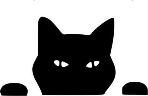 Kedi Komik Surat Araba Sitcker Yapıştırması 20cm Siyah